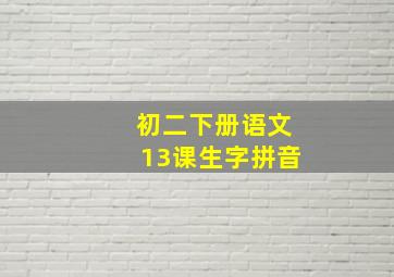 初二下册语文13课生字拼音