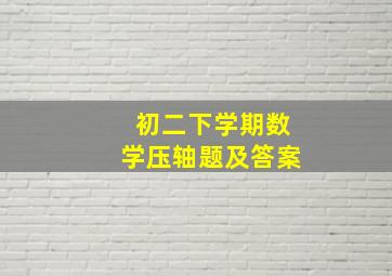 初二下学期数学压轴题及答案