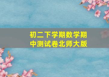 初二下学期数学期中测试卷北师大版