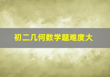 初二几何数学题难度大