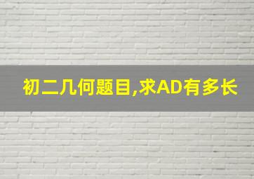 初二几何题目,求AD有多长