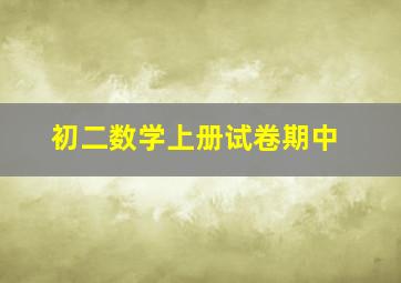 初二数学上册试卷期中