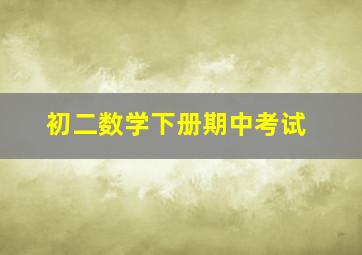 初二数学下册期中考试