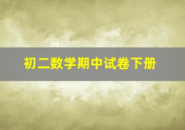 初二数学期中试卷下册