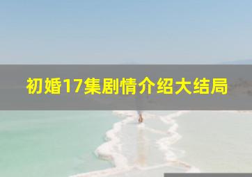 初婚17集剧情介绍大结局