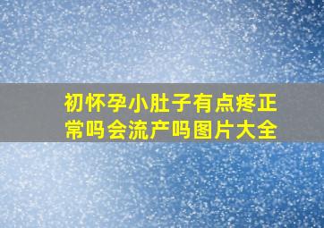 初怀孕小肚子有点疼正常吗会流产吗图片大全