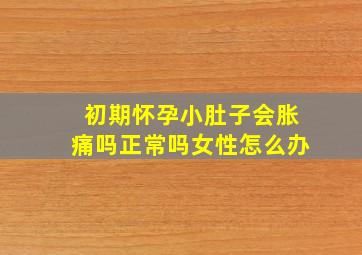 初期怀孕小肚子会胀痛吗正常吗女性怎么办