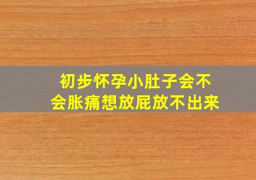 初步怀孕小肚子会不会胀痛想放屁放不出来