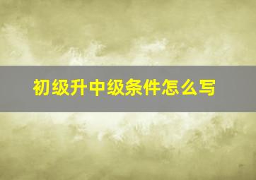 初级升中级条件怎么写