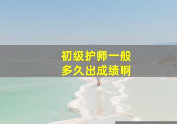 初级护师一般多久出成绩啊