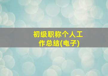 初级职称个人工作总结(电子)