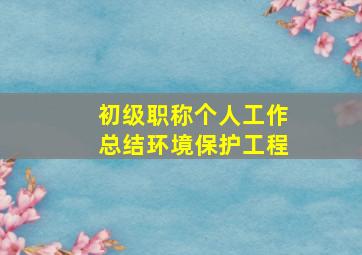 初级职称个人工作总结环境保护工程