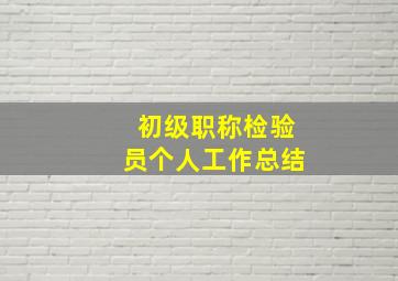 初级职称检验员个人工作总结