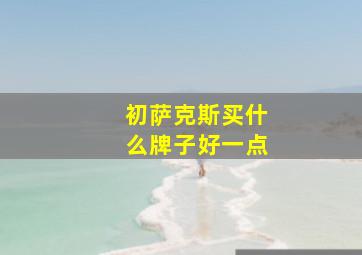 初萨克斯买什么牌子好一点