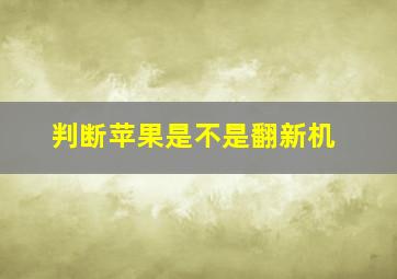 判断苹果是不是翻新机