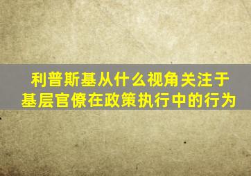 利普斯基从什么视角关注于基层官僚在政策执行中的行为