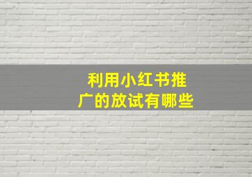 利用小红书推广的放试有哪些