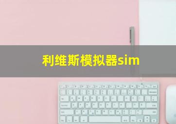 利维斯模拟器sim