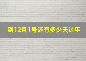 到12月1号还有多少天过年