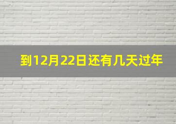 到12月22日还有几天过年