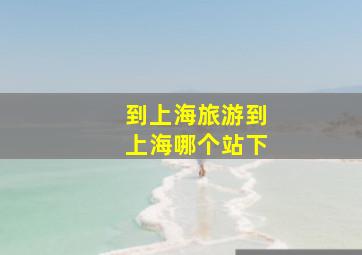 到上海旅游到上海哪个站下