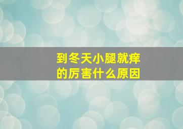 到冬天小腿就痒的厉害什么原因