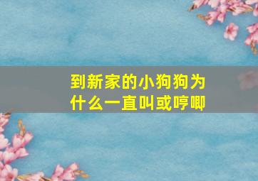 到新家的小狗狗为什么一直叫或哼唧