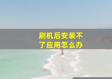 刷机后安装不了应用怎么办