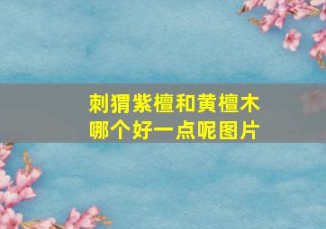 刺猬紫檀和黄檀木哪个好一点呢图片