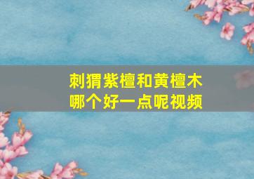 刺猬紫檀和黄檀木哪个好一点呢视频