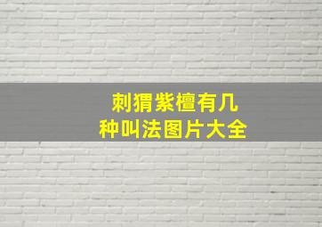 刺猬紫檀有几种叫法图片大全