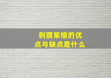 刺猬紫檀的优点与缺点是什么