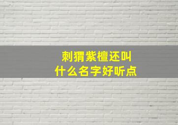 刺猬紫檀还叫什么名字好听点