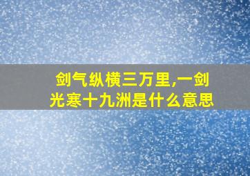 剑气纵横三万里,一剑光寒十九洲是什么意思