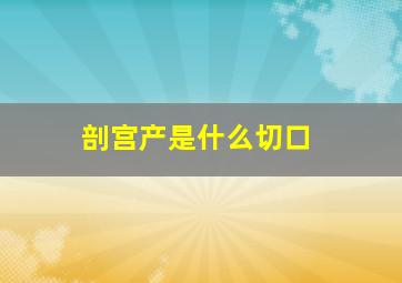 剖宫产是什么切口