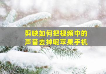 剪映如何把视频中的声音去掉呢苹果手机