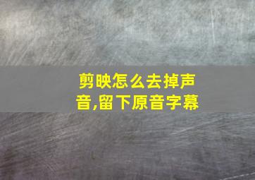 剪映怎么去掉声音,留下原音字幕