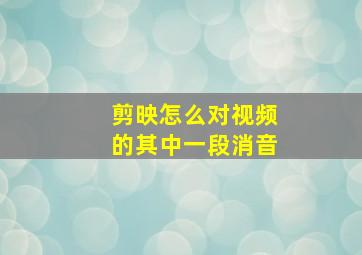 剪映怎么对视频的其中一段消音