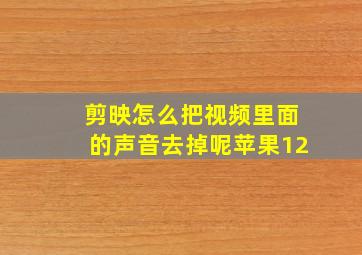 剪映怎么把视频里面的声音去掉呢苹果12