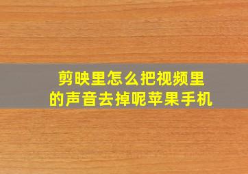 剪映里怎么把视频里的声音去掉呢苹果手机