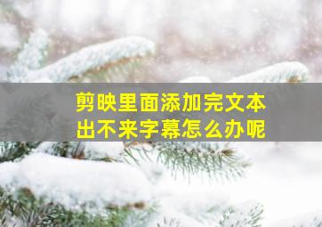 剪映里面添加完文本出不来字幕怎么办呢