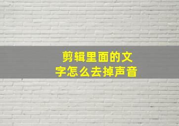 剪辑里面的文字怎么去掉声音