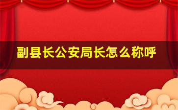 副县长公安局长怎么称呼