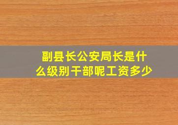 副县长公安局长是什么级别干部呢工资多少