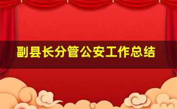 副县长分管公安工作总结