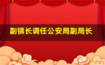 副镇长调任公安局副局长