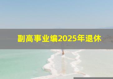 副高事业编2025年退休