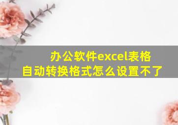 办公软件excel表格自动转换格式怎么设置不了