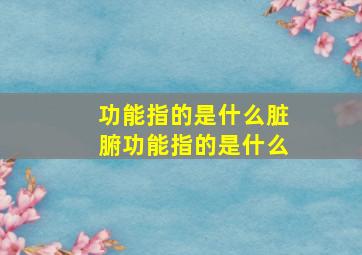 功能指的是什么脏腑功能指的是什么