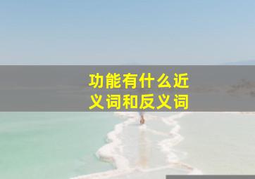 功能有什么近义词和反义词